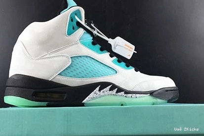 AIR ISLAND 5 GREEN Versatile JORDAN 594 CN2932-100 1005
